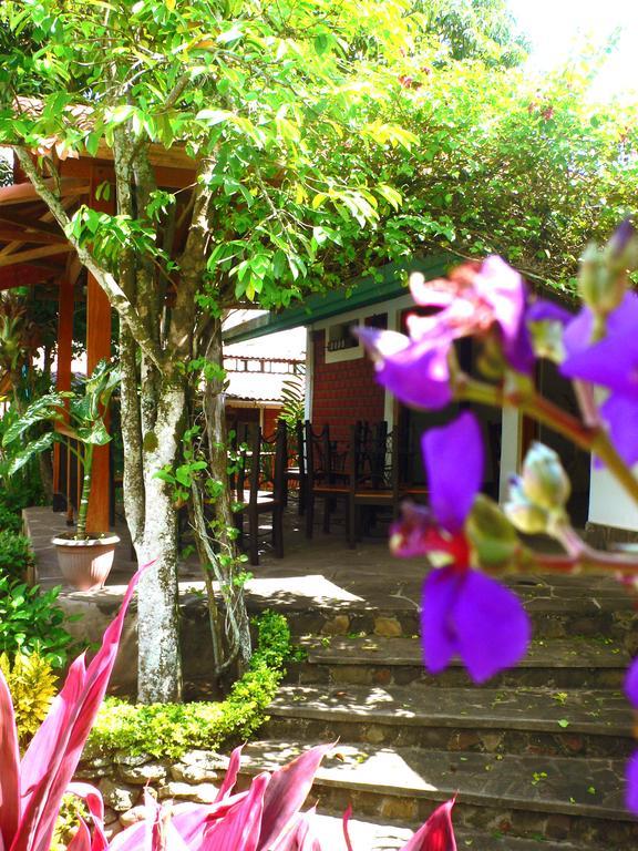 Bubinzana Magical Lodge ตาราโปโต ภายนอก รูปภาพ