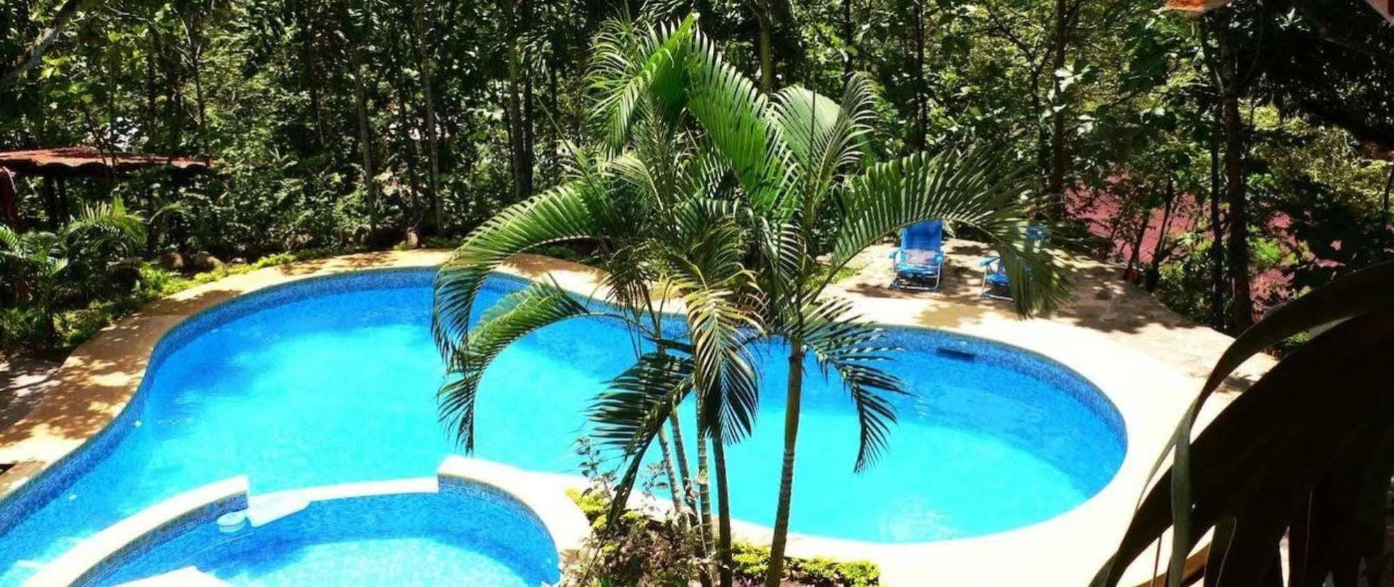 Bubinzana Magical Lodge ตาราโปโต ภายนอก รูปภาพ